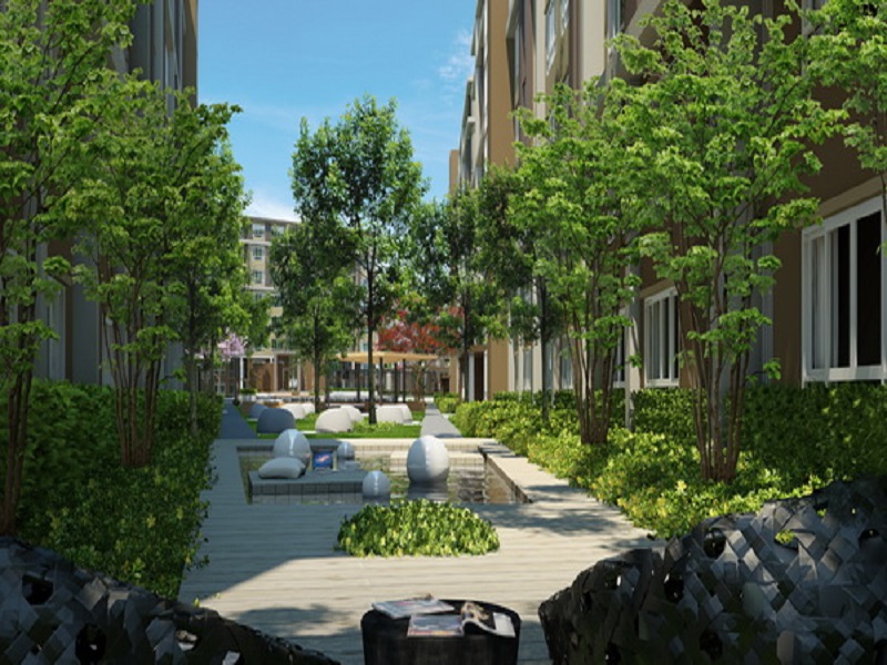 ดีคอนโด แคมปัส รีสอร์ท รังสิต (D condo Campus Resort Rangsit) รูปที่ 3
