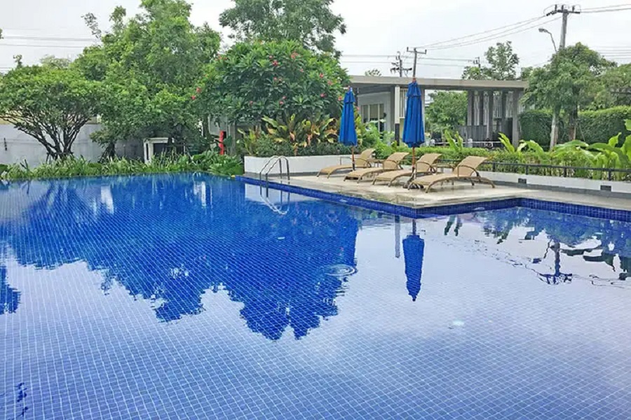 เดอะ แพลนท์ ซิมพลีส พหลโยธิน - สายไหม (The Plant Simpls Paholyothin - Saimai) รูปที่ 4