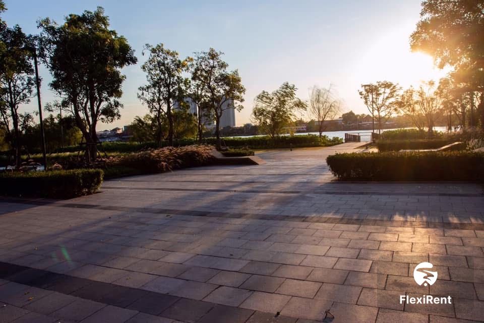 The Politan Rive photo #5