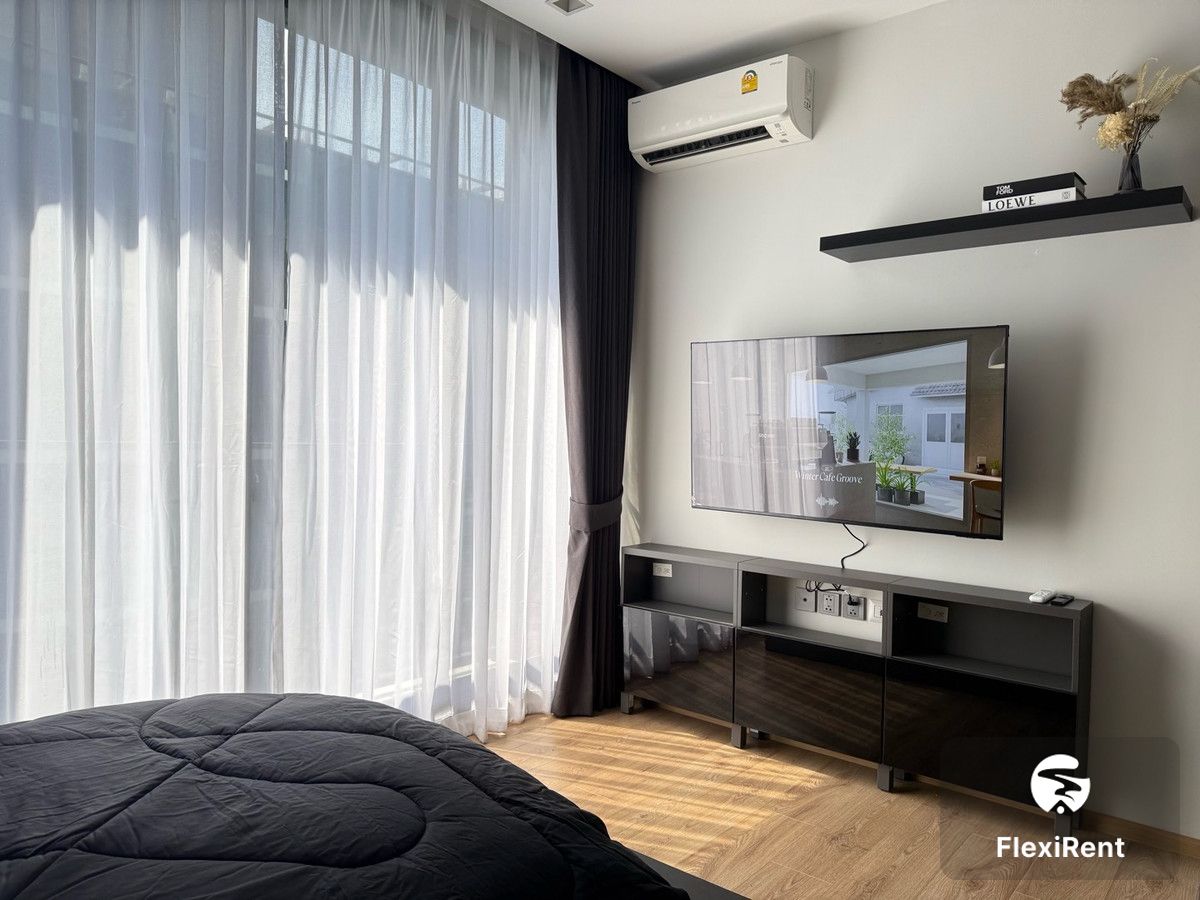 Noble Around Ari photo #2