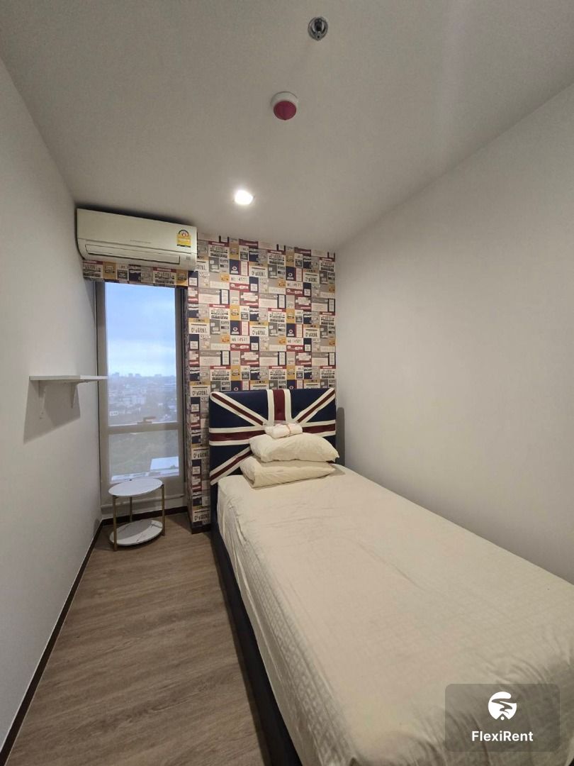 Ashton Morph 38 photo #2