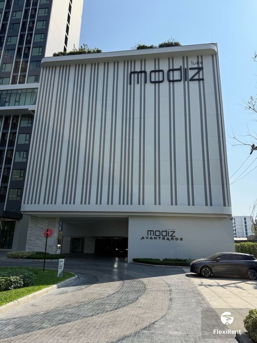 Modiz Avantgarde photo #2