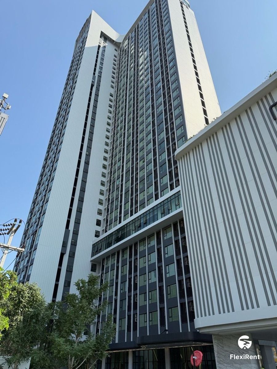 Modiz Avantgarde photo #3