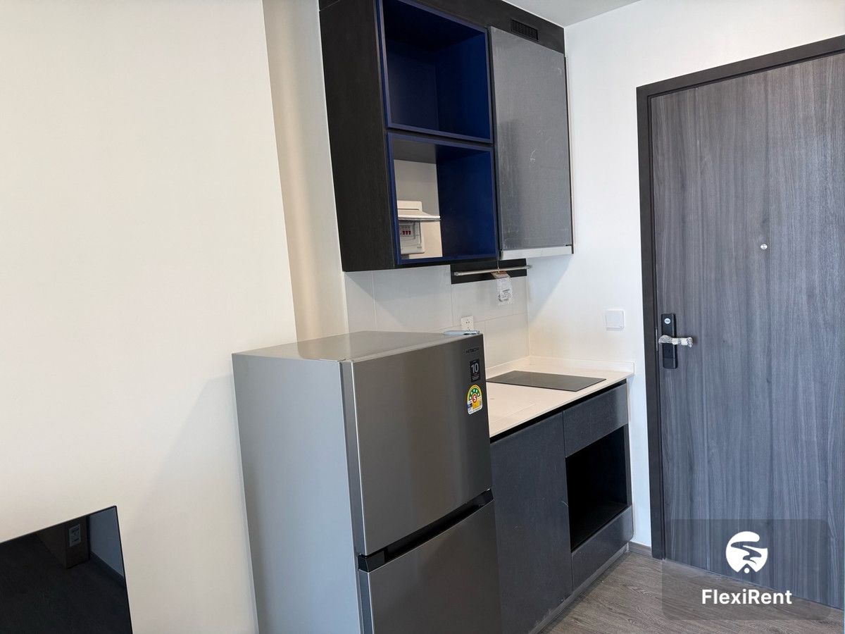 Modiz Avantgarde photo #5