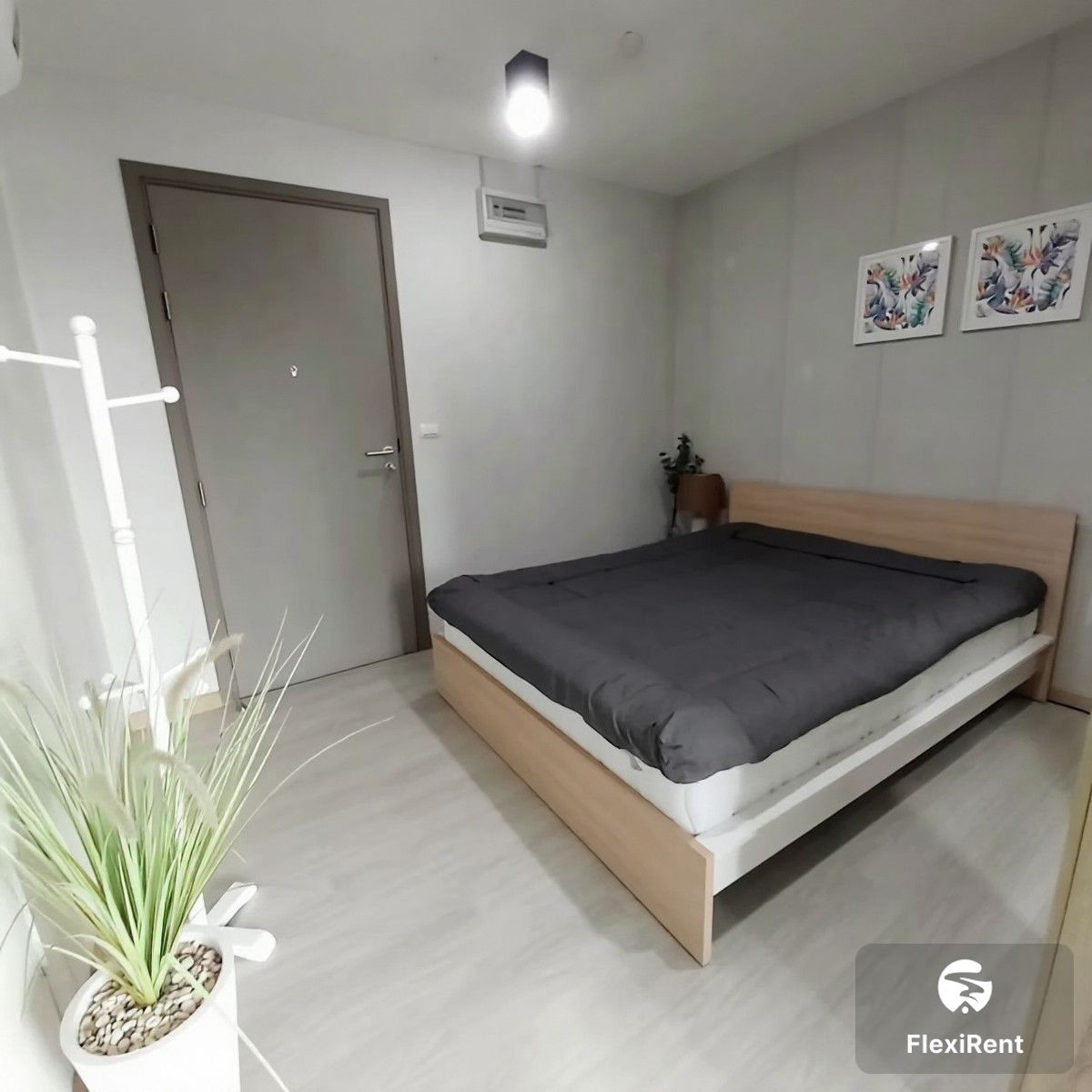 เทมโป ควอด พหลโยธิน - สะพานใหม่ (Tempo Quad Phaholyothin - Saphanmai)