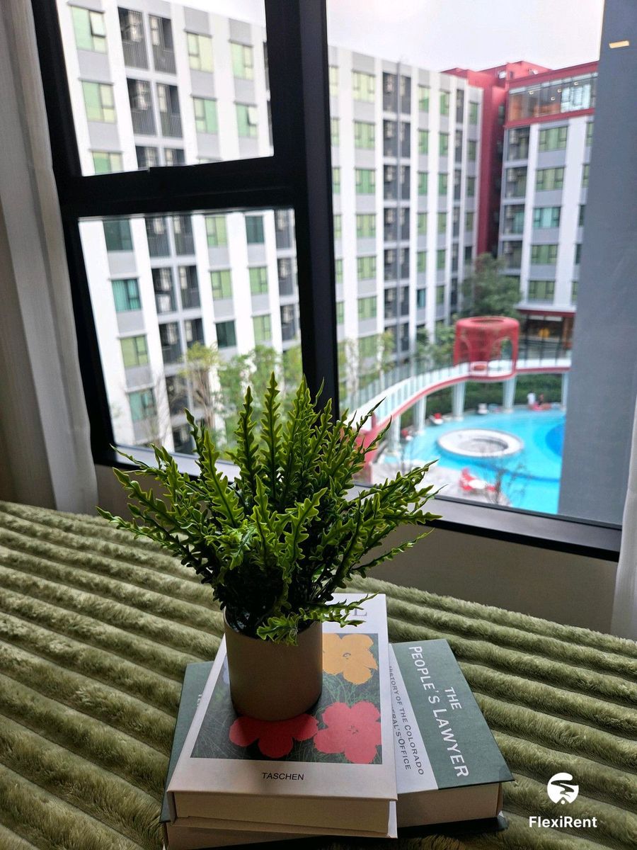 Kave Wonderland photo #5