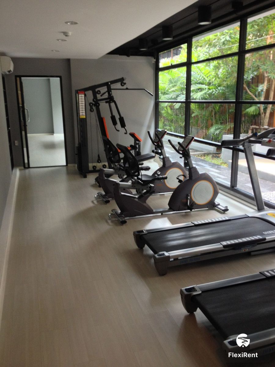 เดอะ คอนเน็กซ์ชั่น (The Connexion) รูปที่ 3