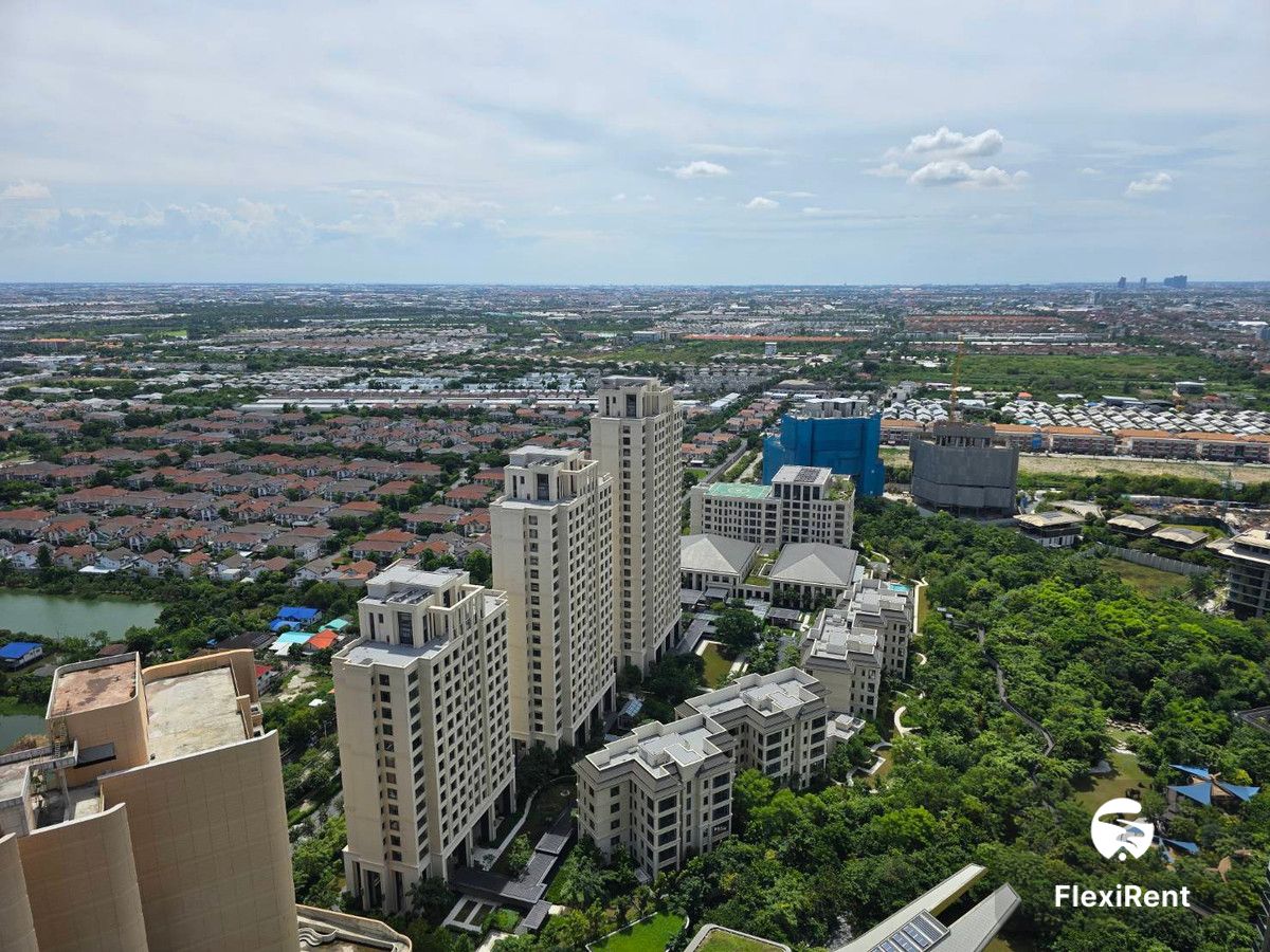 วิสซ์ดอม เดอะ ฟอเรสเทียส์ (Whizdom The Forestias) รูปที่ 4