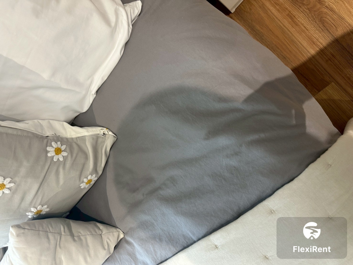 เดอะ ไทเทิ้ล ฮาโล 1 (The Title Halo 1) รูปที่ 2