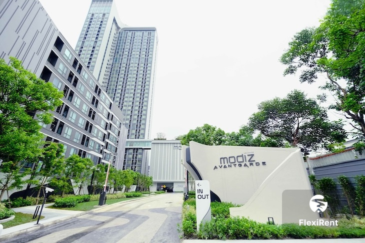 โมดิซ อาวองการ์ด (Modiz Avantgarde)