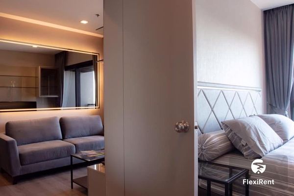 เดอะ โพลิแทน รีฟ (The Politan Rive) รูปที่ 3