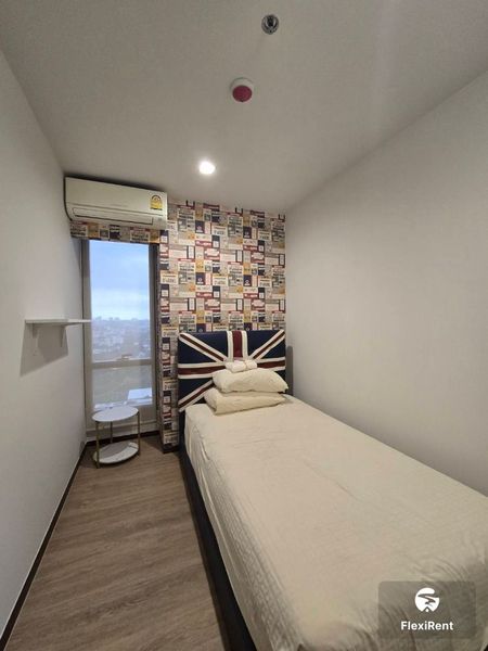 Ashton Morph 38 Image 2