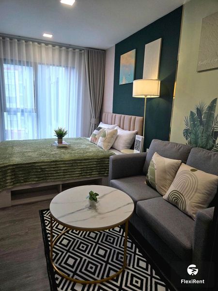 เคฟ วันเดอร์แลนด์ (Kave Wonderland) รูปที่ 2