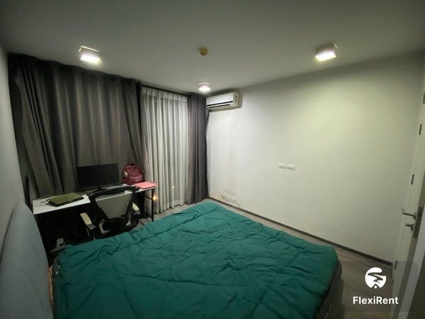 เซล รัตนาธิเบศร์ (Zelle Rattanathibet) รูปที่ 2
