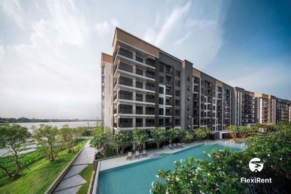เดอะ โพลิแทน บรีซ (The Politan Breeze) รูปที่ 1