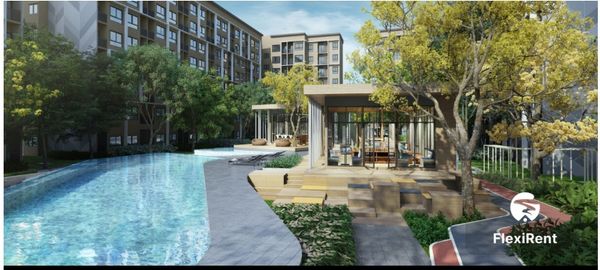 พลัมคอนโด พาร์ค รังสิต (Plum Condo Park Rangsit) รูปที่ 1