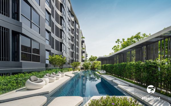 บลู สุขุมวิท 105 (Blue Sukhumvit 105) รูปที่ 1